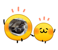 863090196