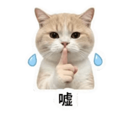 863090853