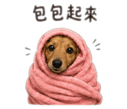 863090897