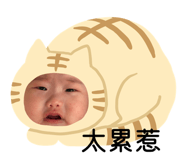 863090920