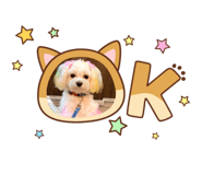 863090961