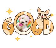 863090964