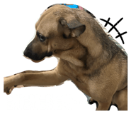 863091372