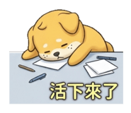 863091571