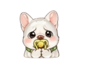 863092555