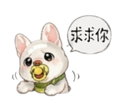 863092567
