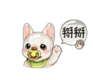 863092581