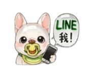 863092584