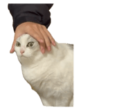 863094311
