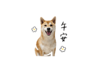 863095146