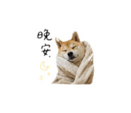 863095147