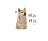 863095148