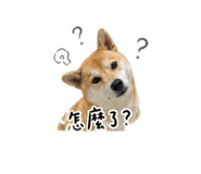 863095152
