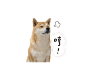 863095156