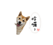 863095160