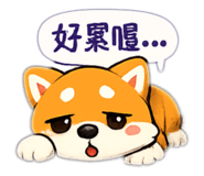 863095941
