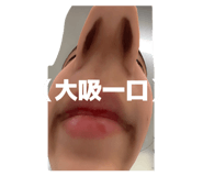 863097736