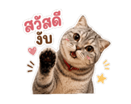 863098817