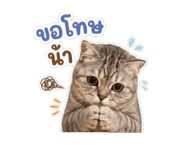 863098819