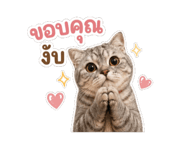 863098822