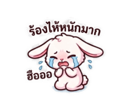 863100953