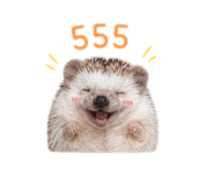 863101900