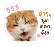 863102268