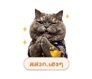 863102535