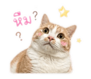 863102546