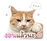 863102551