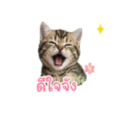863102910