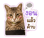 863103061