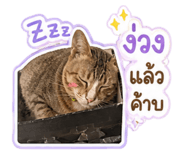 863103063