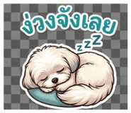 863105165