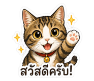 863105217