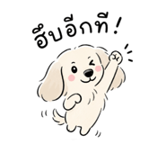 863105284
