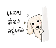 863105285
