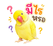 863106707