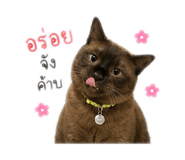 863109035