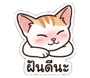863109953