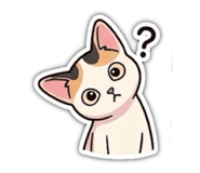 863109970