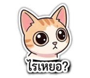 863109971