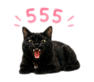 863110010