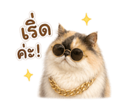 863110434