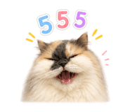 863110445