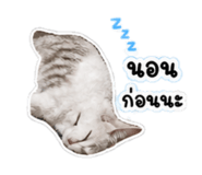 863110466