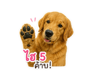 863111834