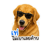 863111836