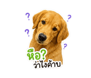 863111838