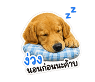863111842